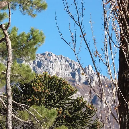 公寓 弗若拉克斯公寓 阿巴迪拉里纳